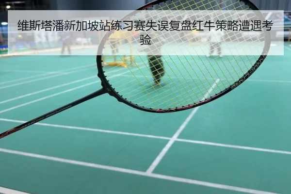 维斯塔潘新加坡站练习赛失误复盘红牛策略遭遇考验